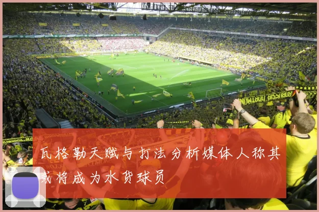 瓦格勒天赋与打法分析媒体人称其或将成为水货球员