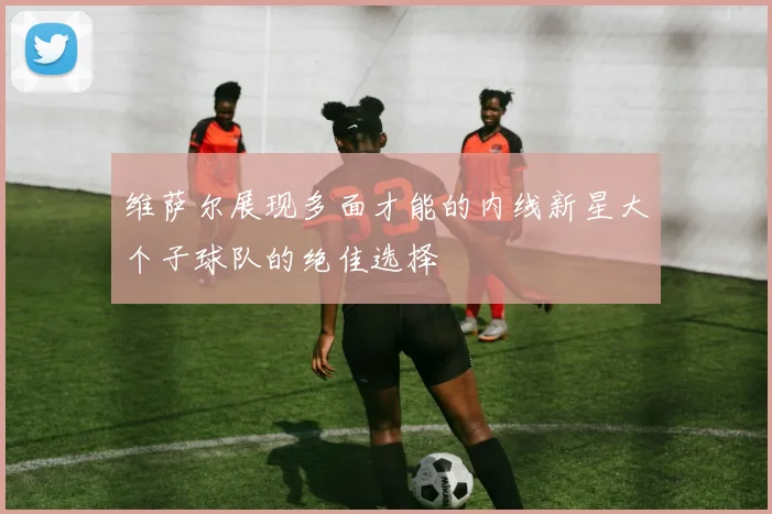 维萨尔展现多面才能的内线新星大个子球队的绝佳选择