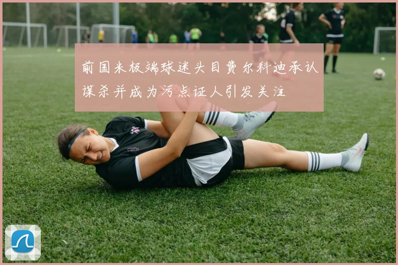前国米极端球迷头目费尔科迪承认谋杀并成为污点证人引发关注